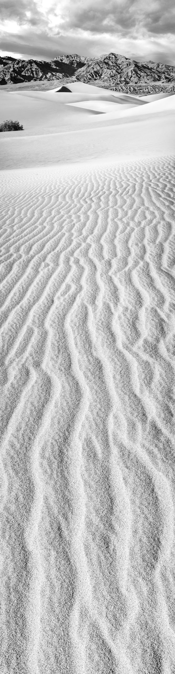 Mesquite Dunes Vertorama - Death valley NP