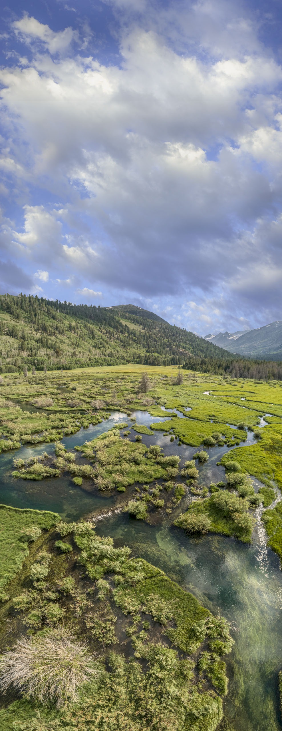Green Creek Marsh - Green Creek Road