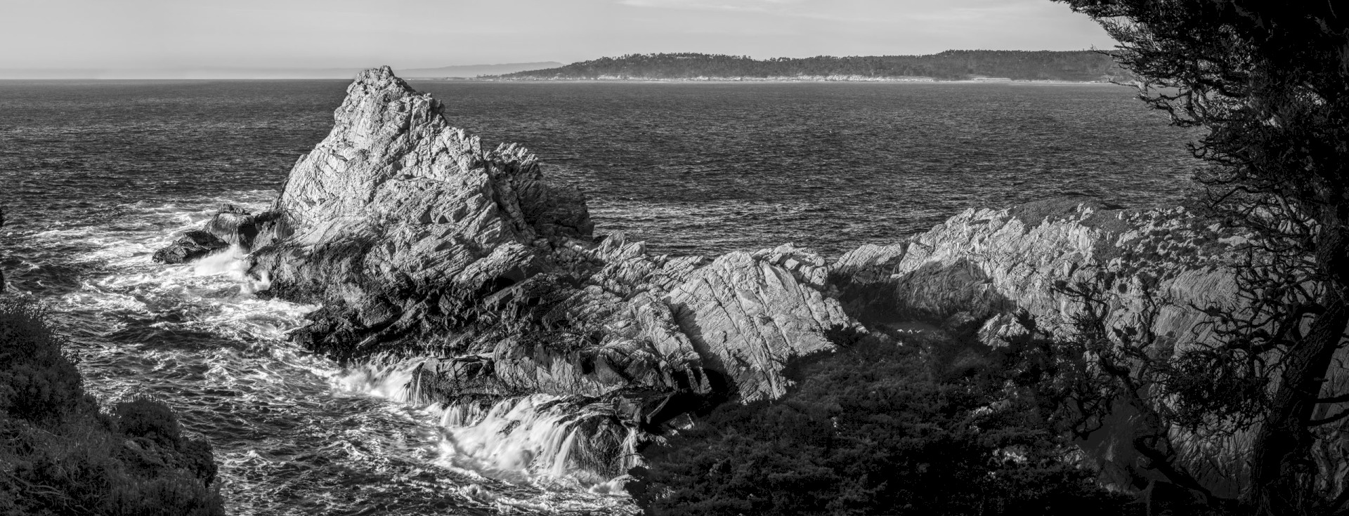Middle Cove Point - Point Lobos State Park