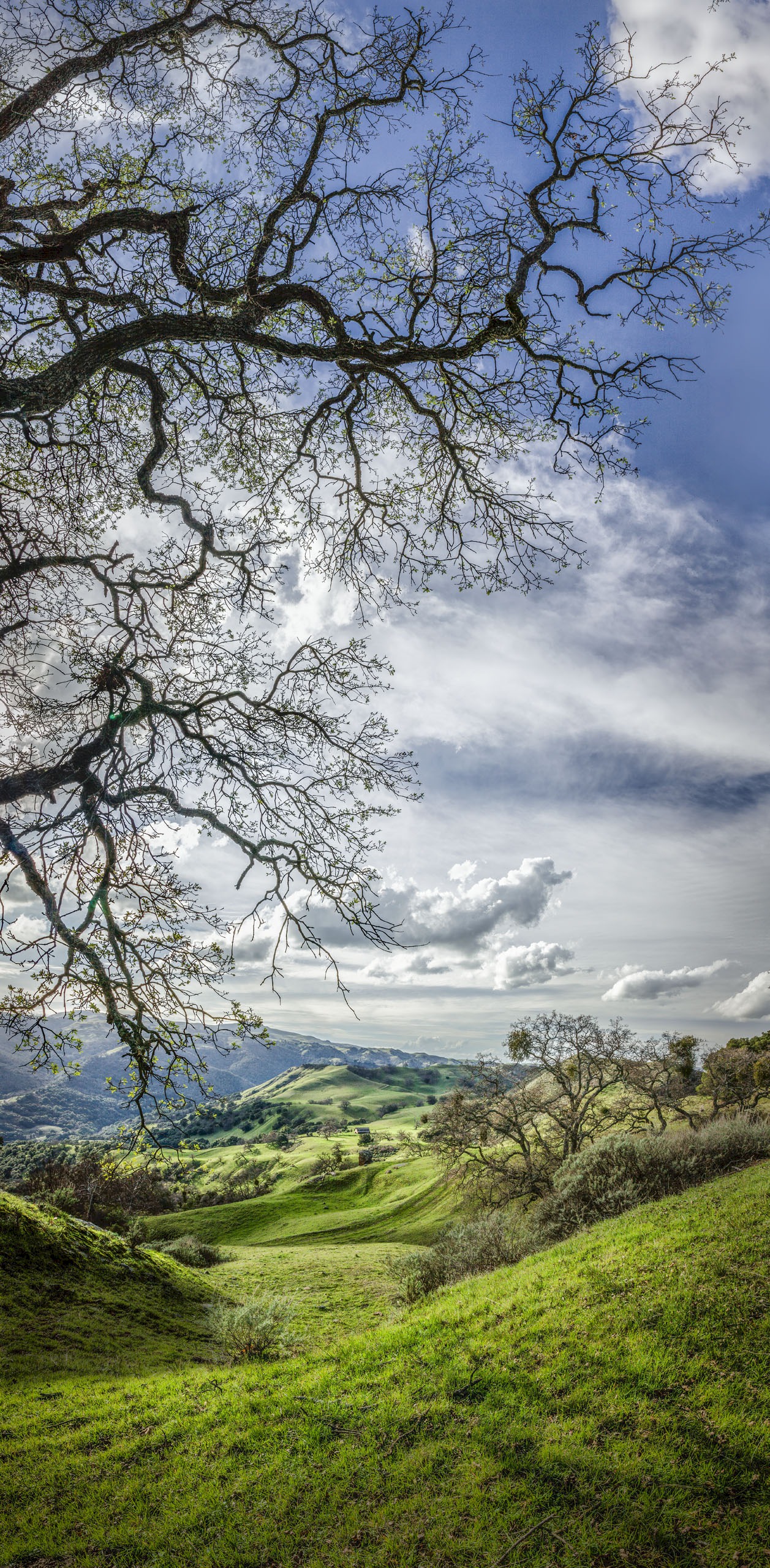 Flag Hill from Eagles View - Sunol Regional Wilderness - EBPRD