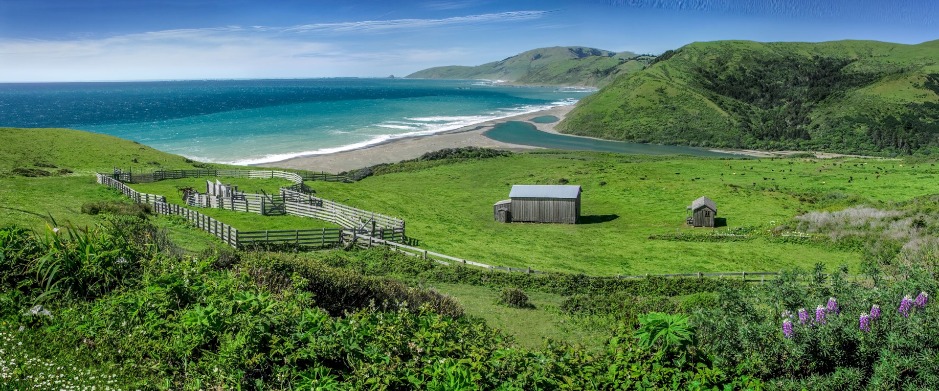 Lost Coast Cattle Station