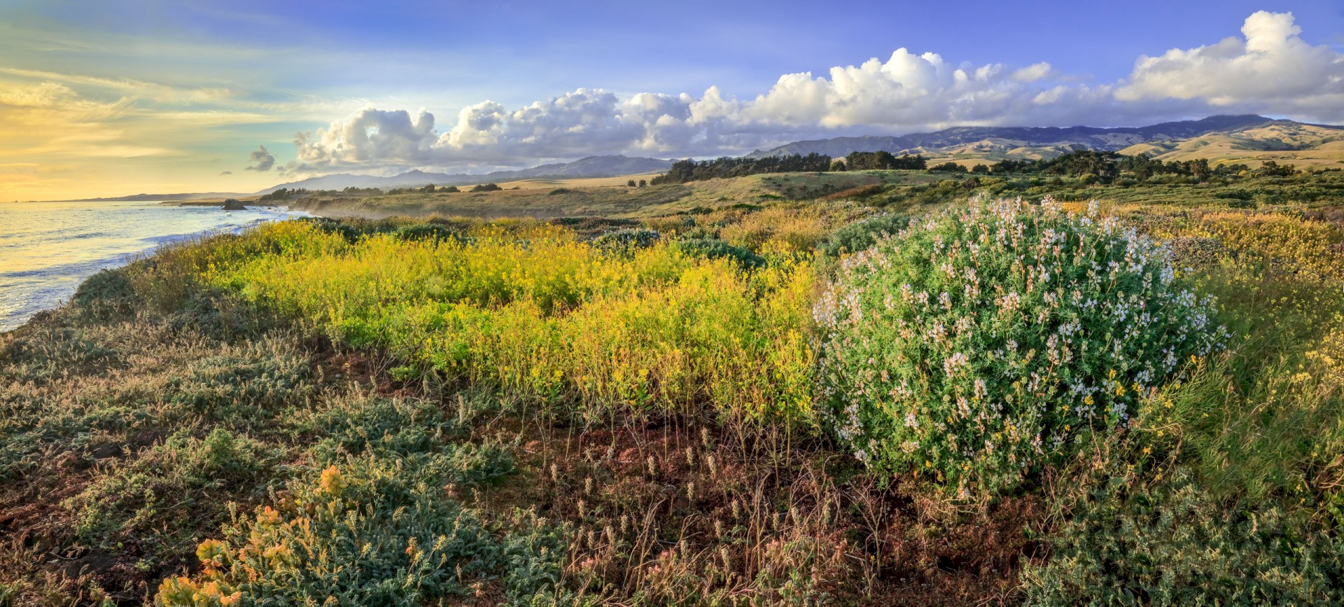Central Coast Sunset...