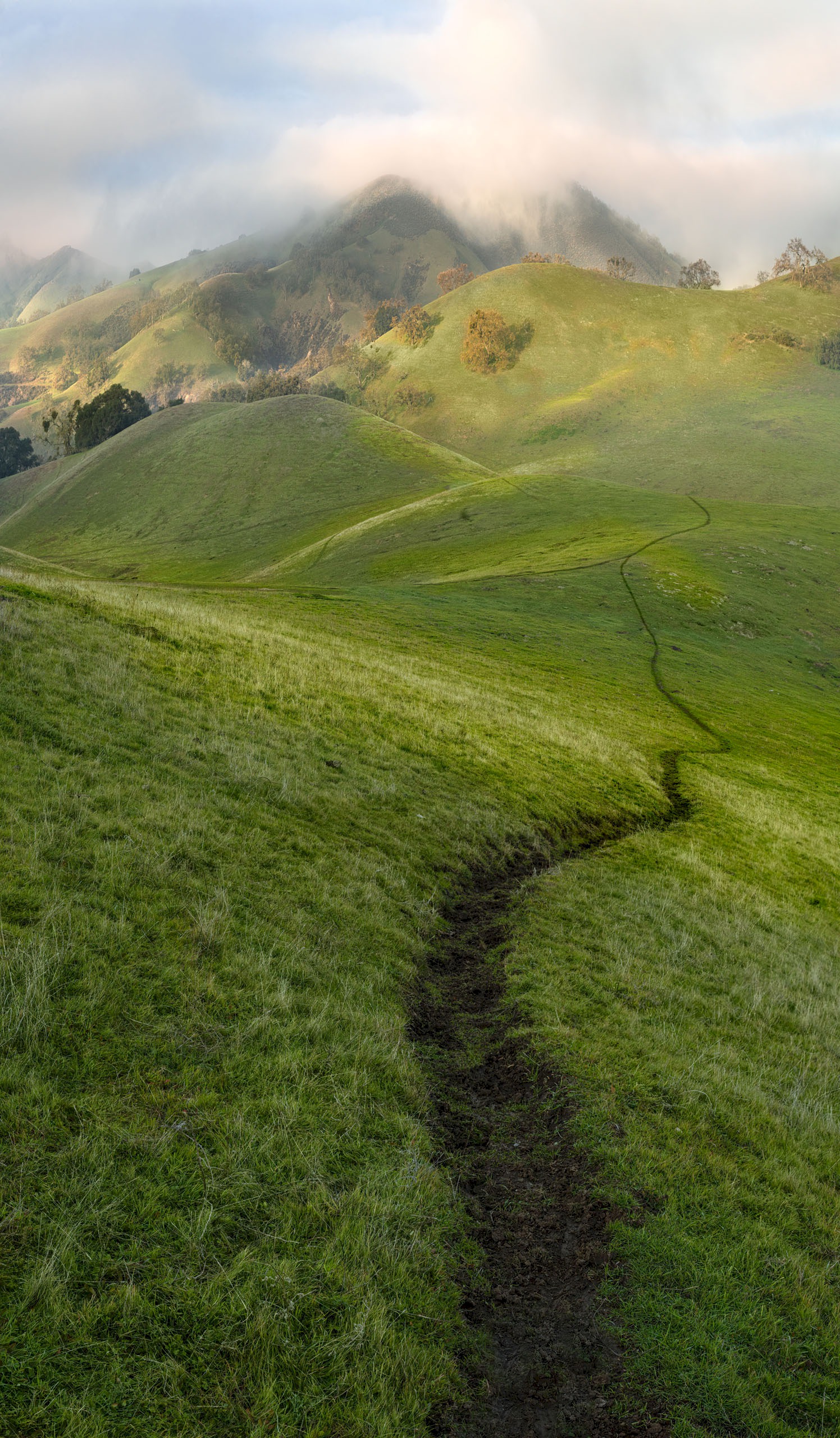 Mysterious Mountain... - Sunol Regional Wilderness - EBPRD