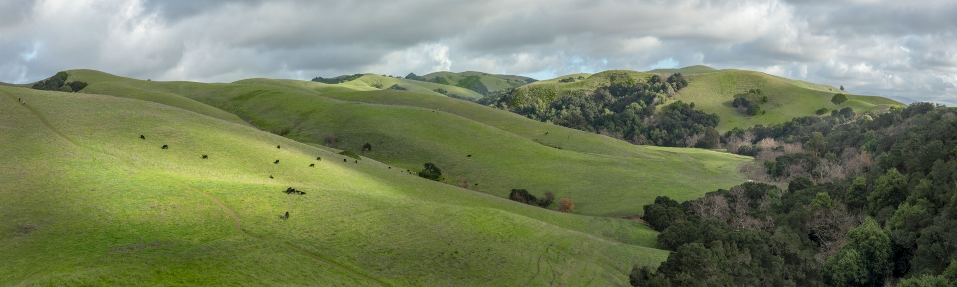 Dry Creek Overview - Dry Creek - Pioneer Regional Park