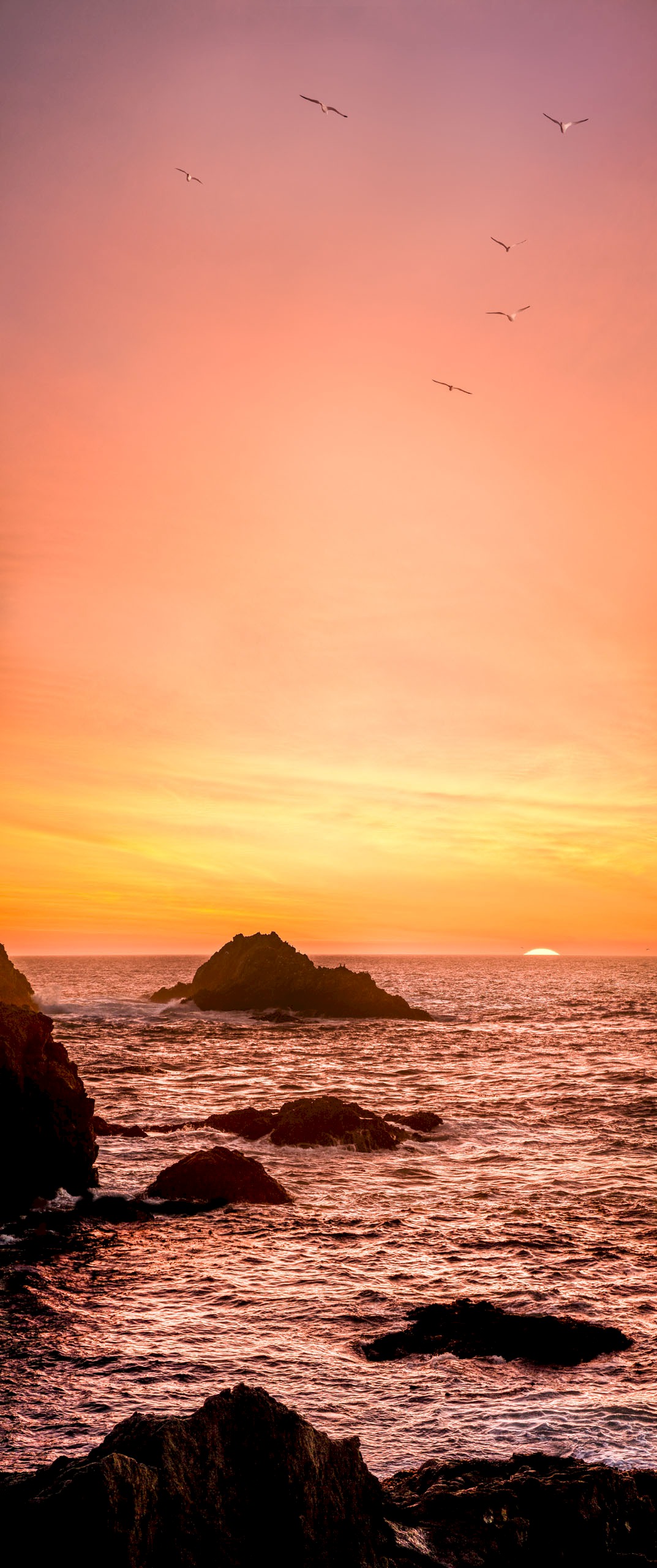 Pt Lobos Sunset - Point Lobos State Park
