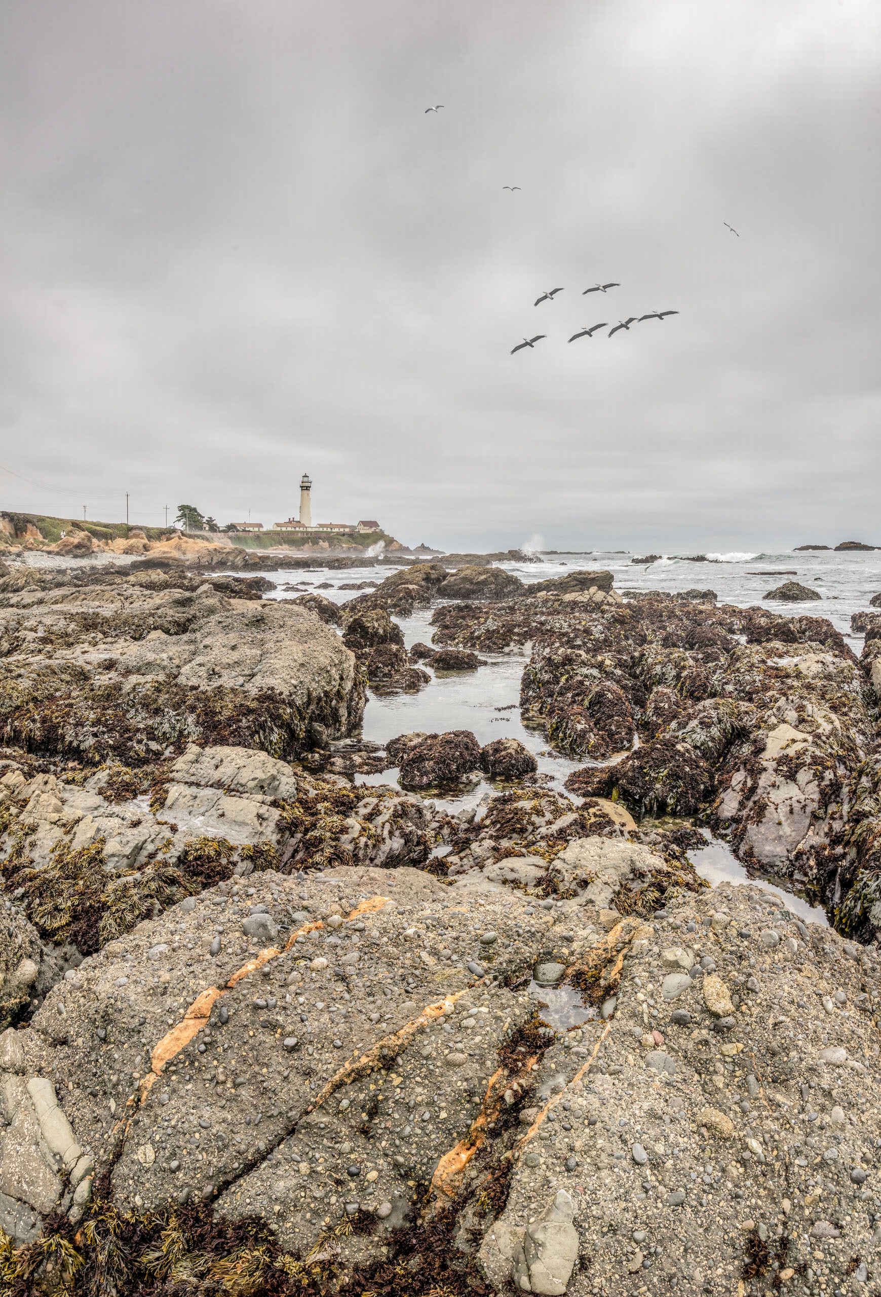 Pigeon Point Overcast - Pigeon Point Lighthouse