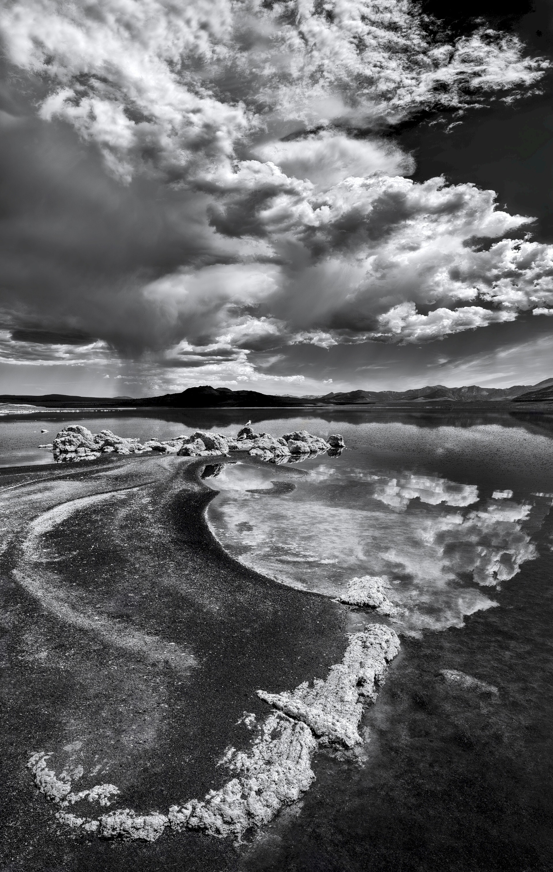 Black Point Twist - Black Point at Mono Lake BLM