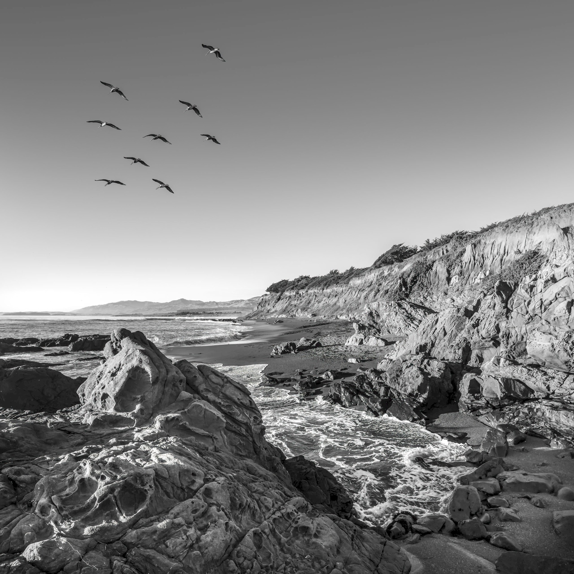 Leffingwell Birds - Leffingwell Landing State Park