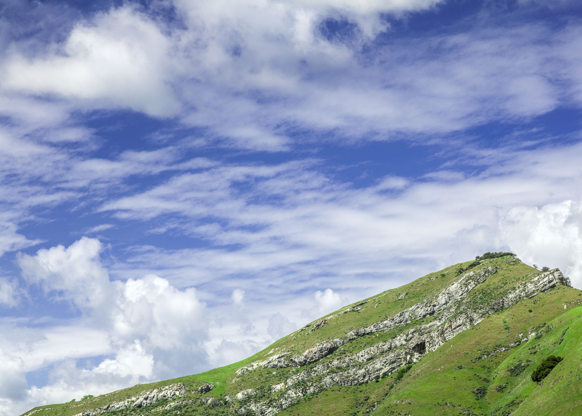 Lesser McGuire Peak - Sunol Regional Wilderness - EBPRD