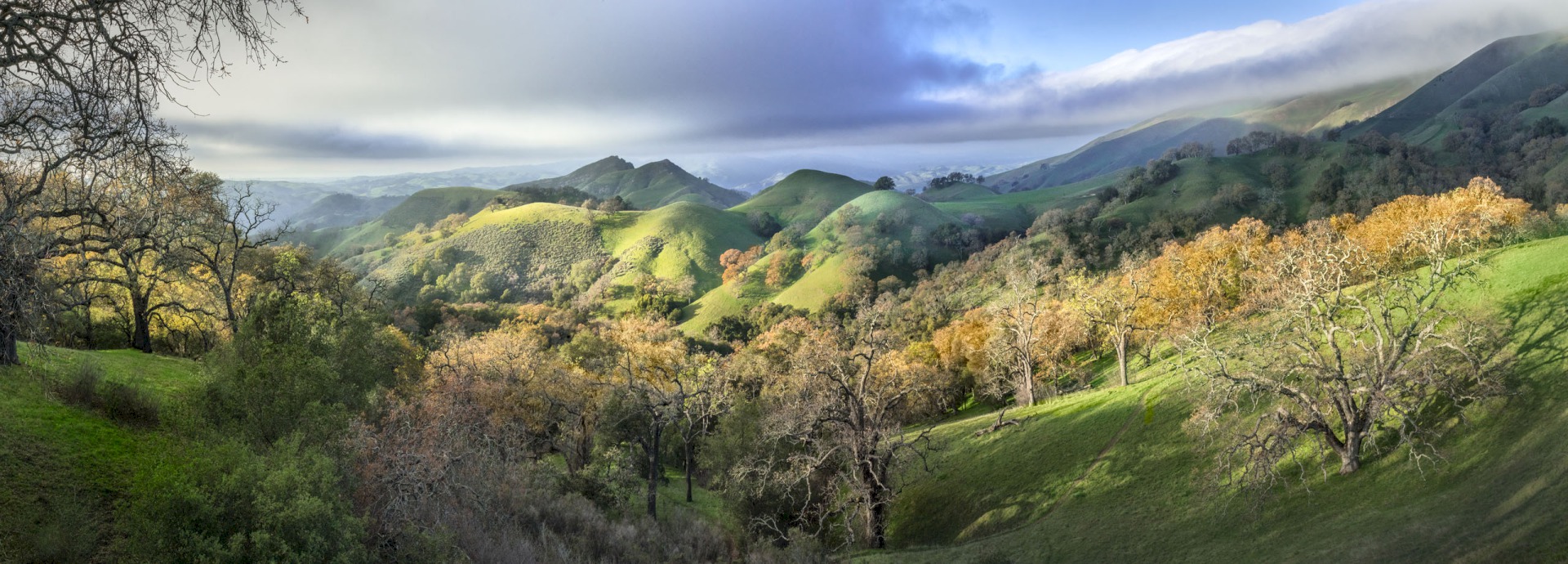 McGuire Peaks from Lower Eagles View - Sunol Regional Wilderness - EBPRD