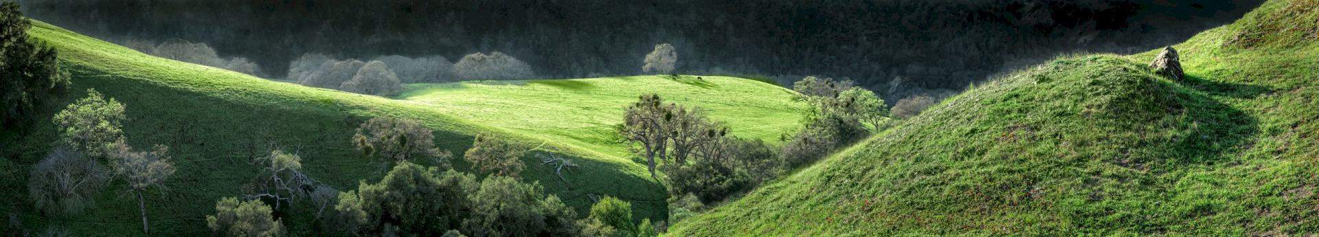 Small Outcrop on McCorkle Plateau - Sunol Regional Wilderness - EBPRD
