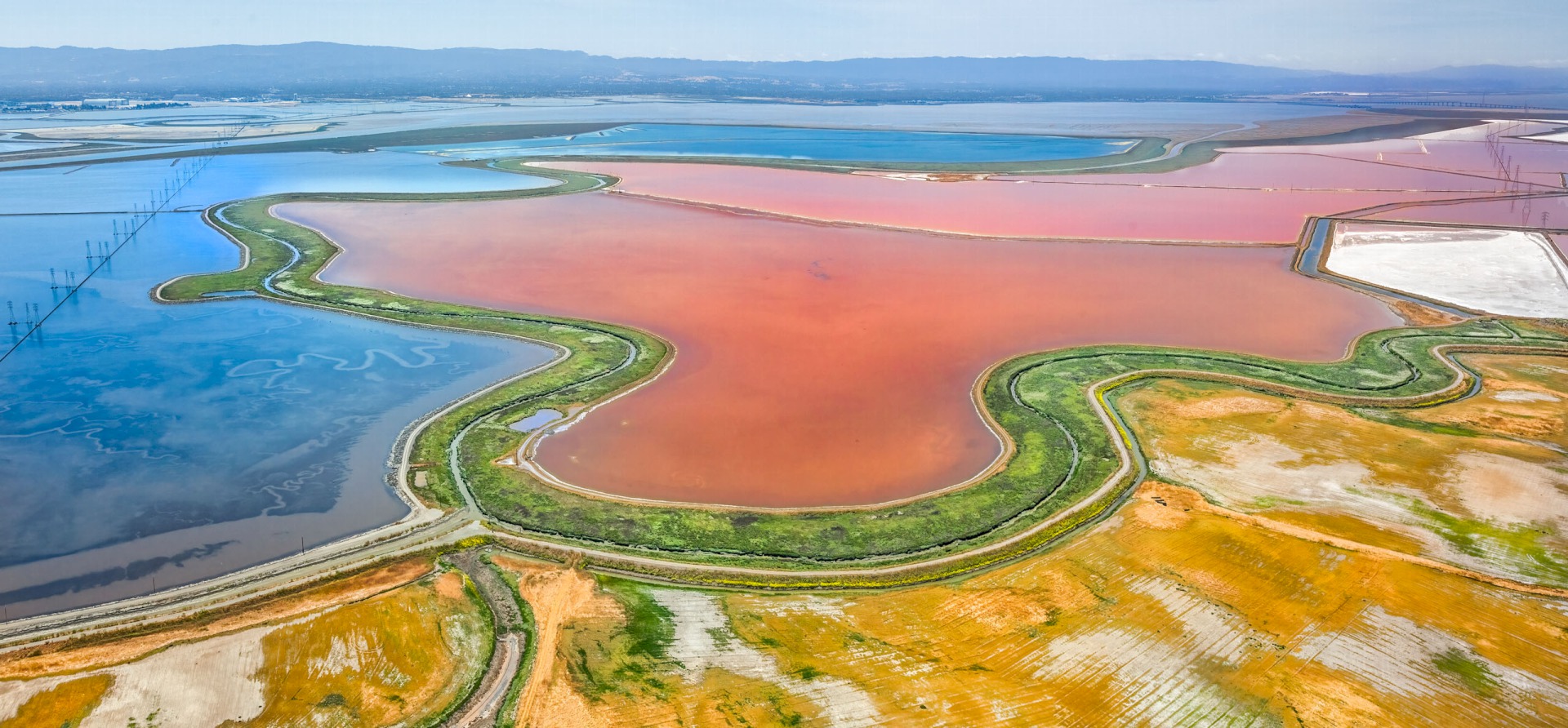Coyote Creek Outfall