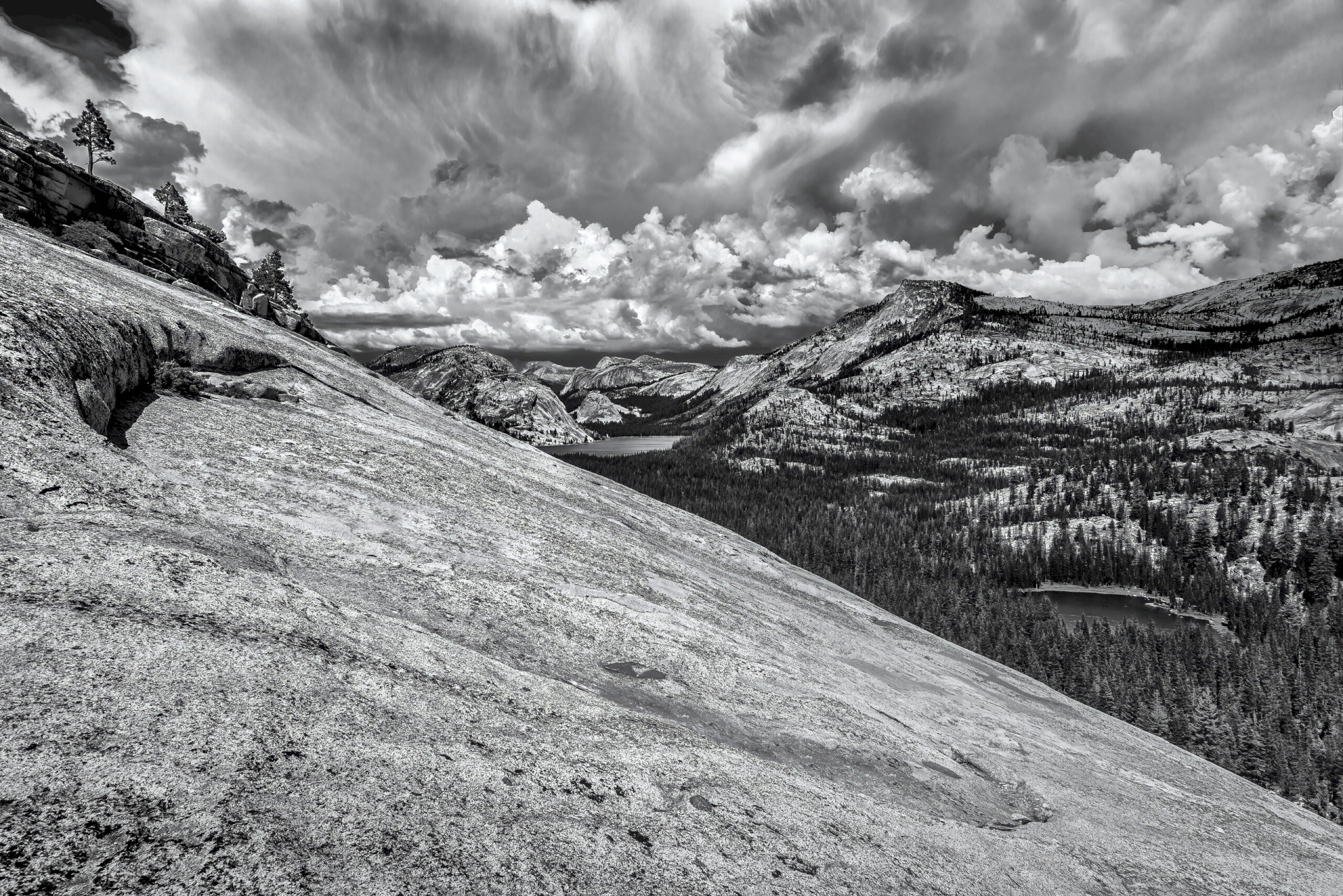 Olmstead-Dome-0714_8044
