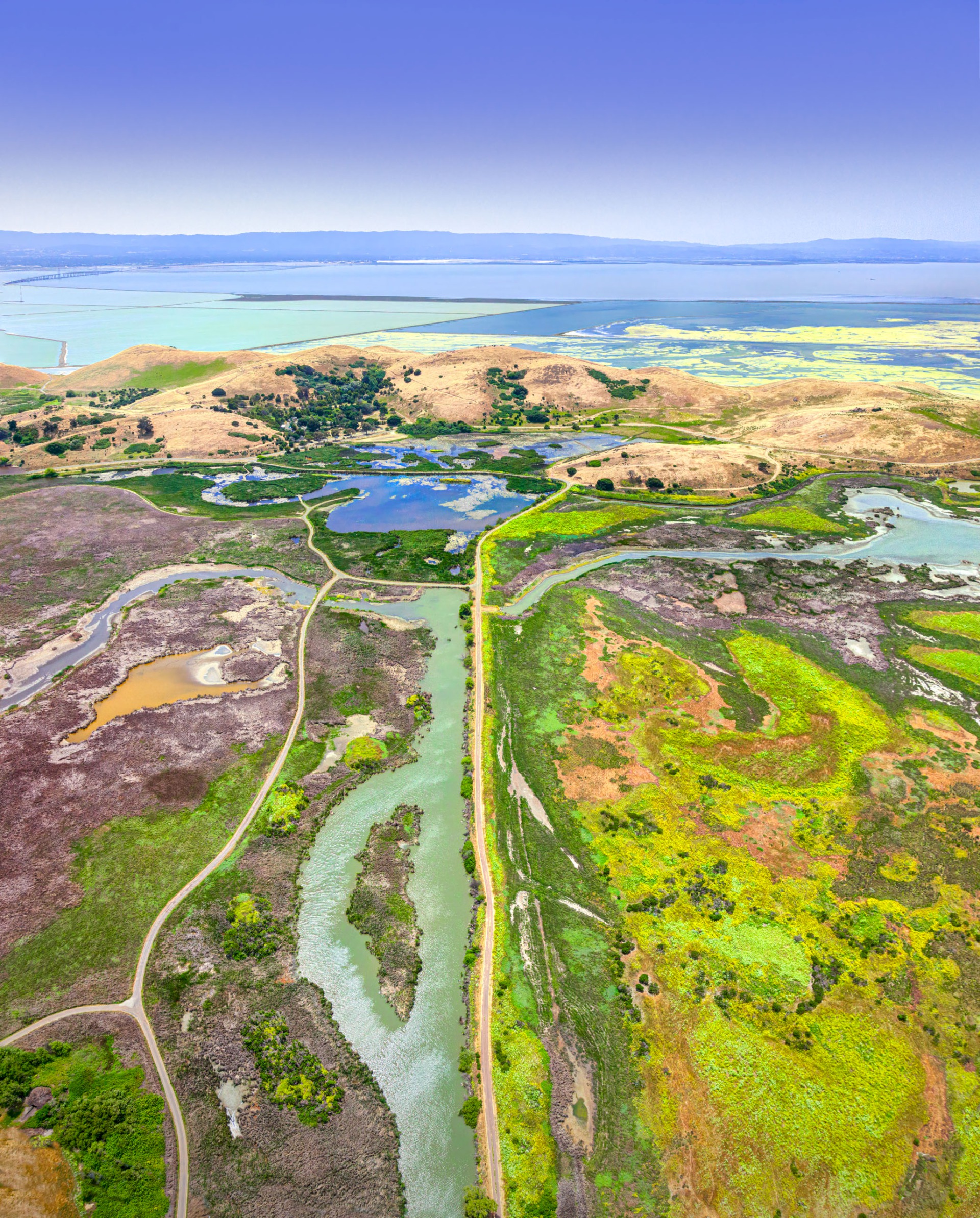 Alameda Creek Wetlands