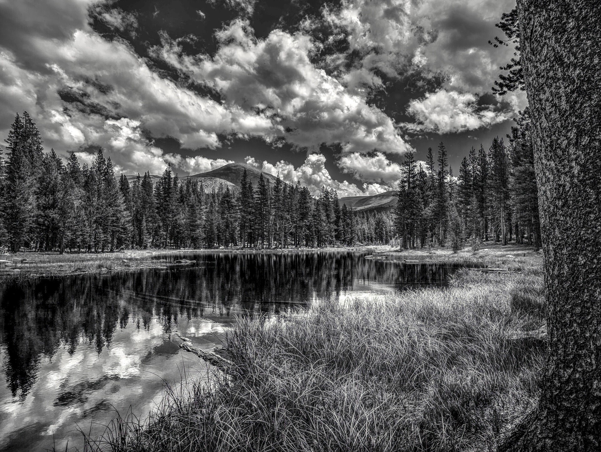 Mosquito Lake - Yosemite National Park
