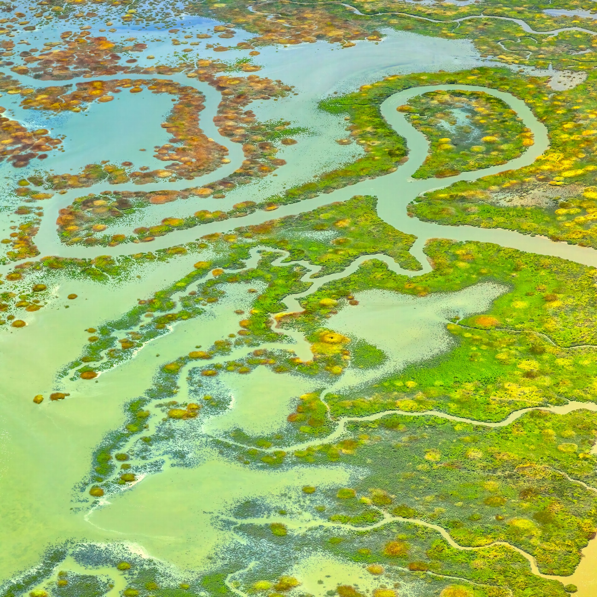 Drawbridge North Marsh