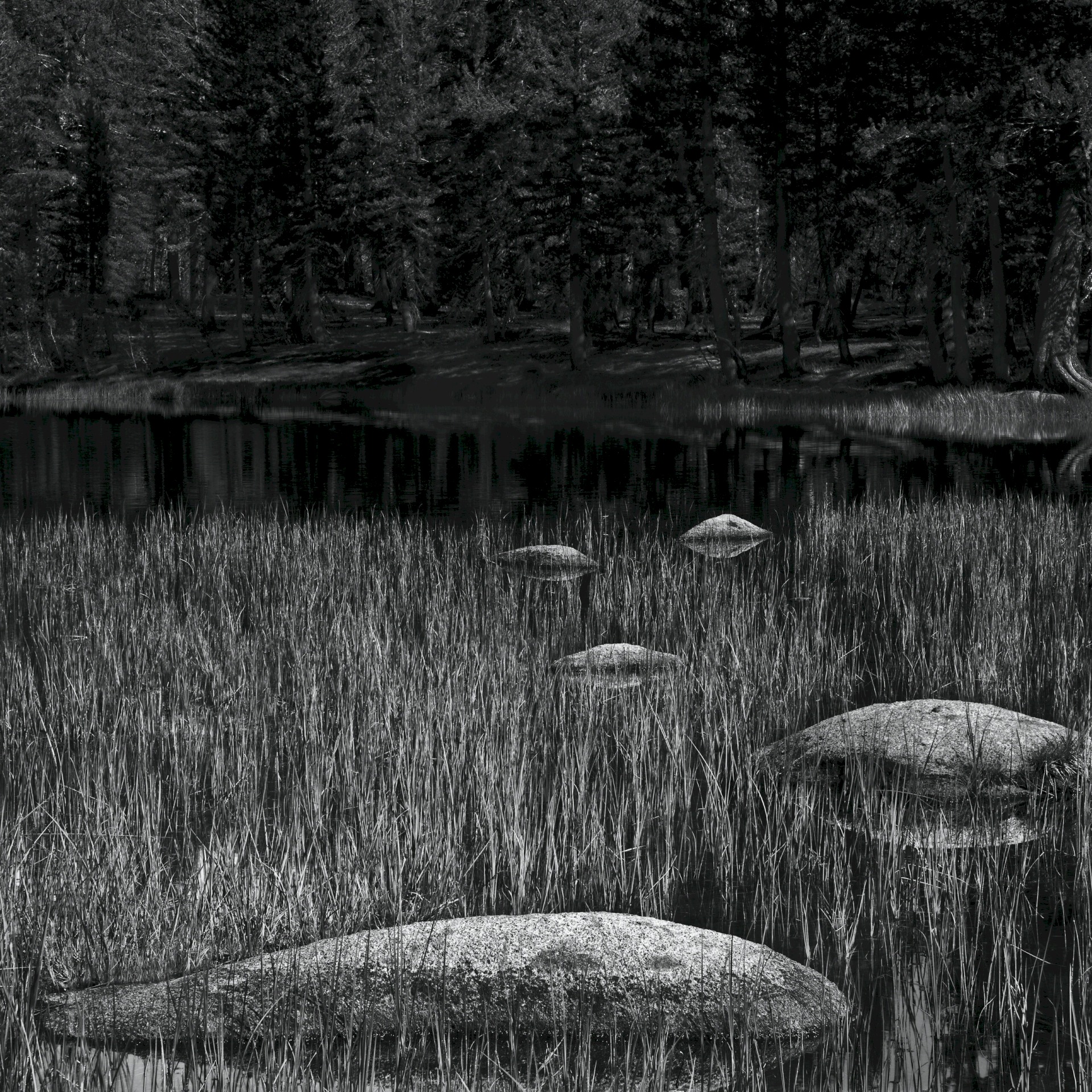 Tuolumne Meditation Stones - Yosemite National Park - Tuolumne