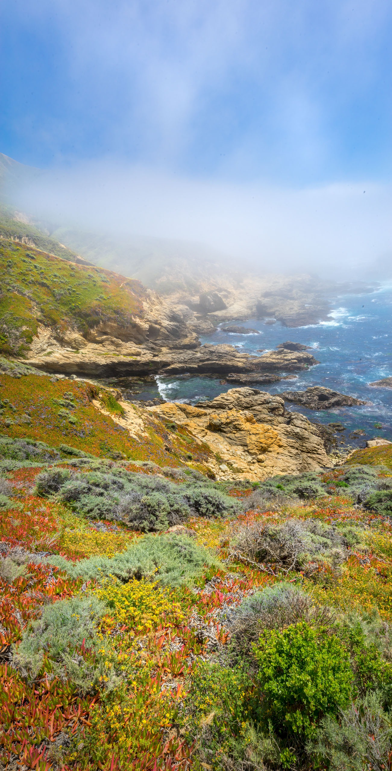 Big Sur Coves
