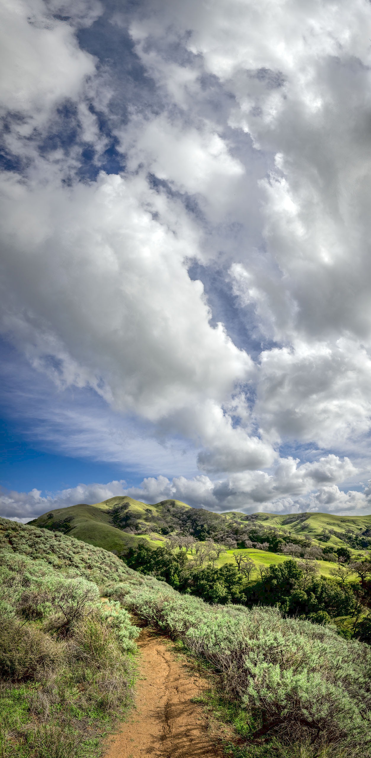 Eagles View Trail - Sunol Regional Wilderness - EBPRD