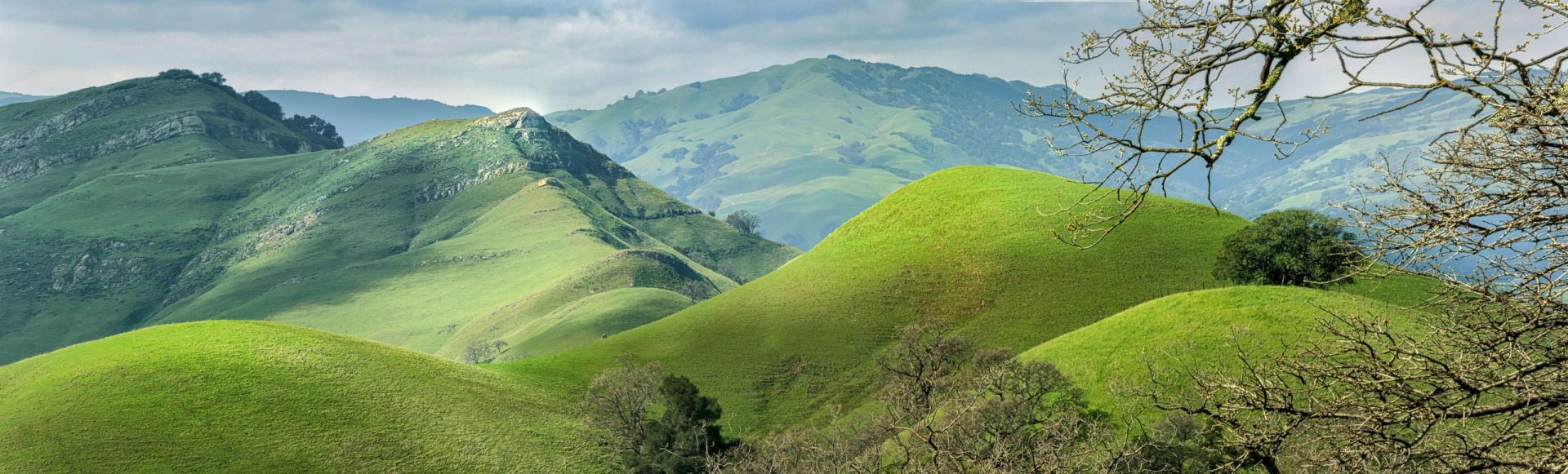 McGuire Peaks vs Oak - Sunol Regional Wilderness - EBPRD
