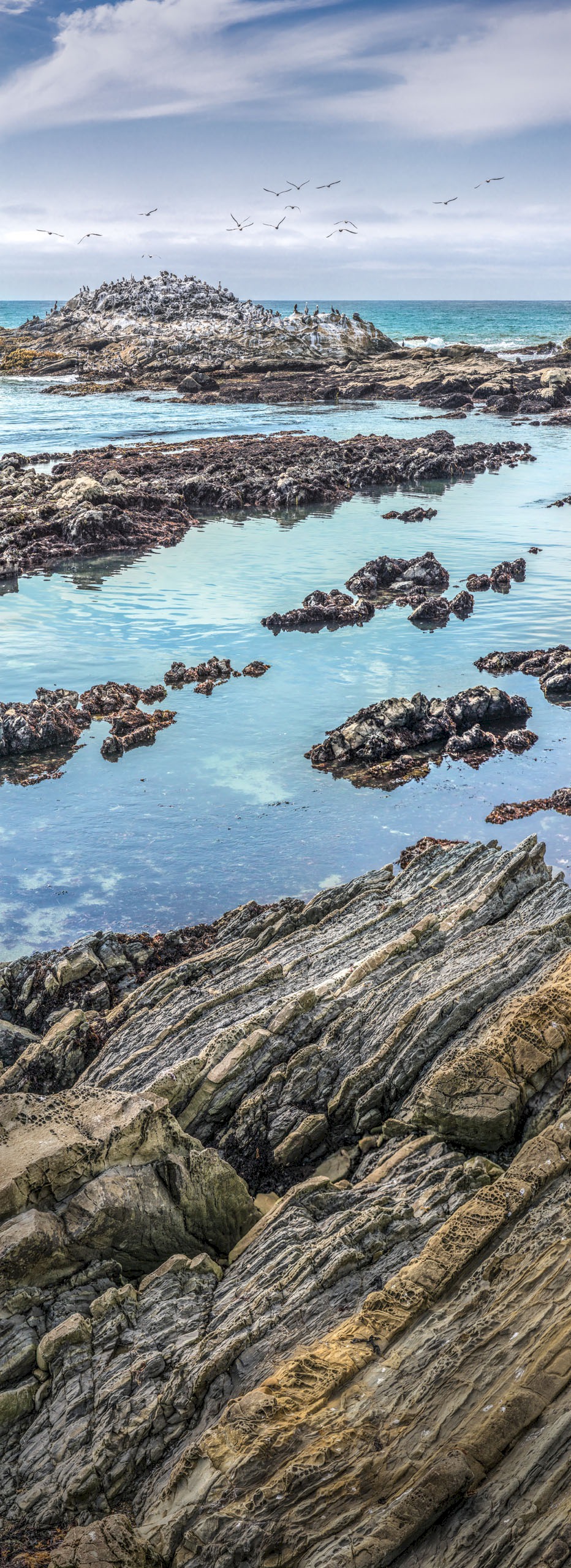 Bean-Hollow-1710_4696-4703