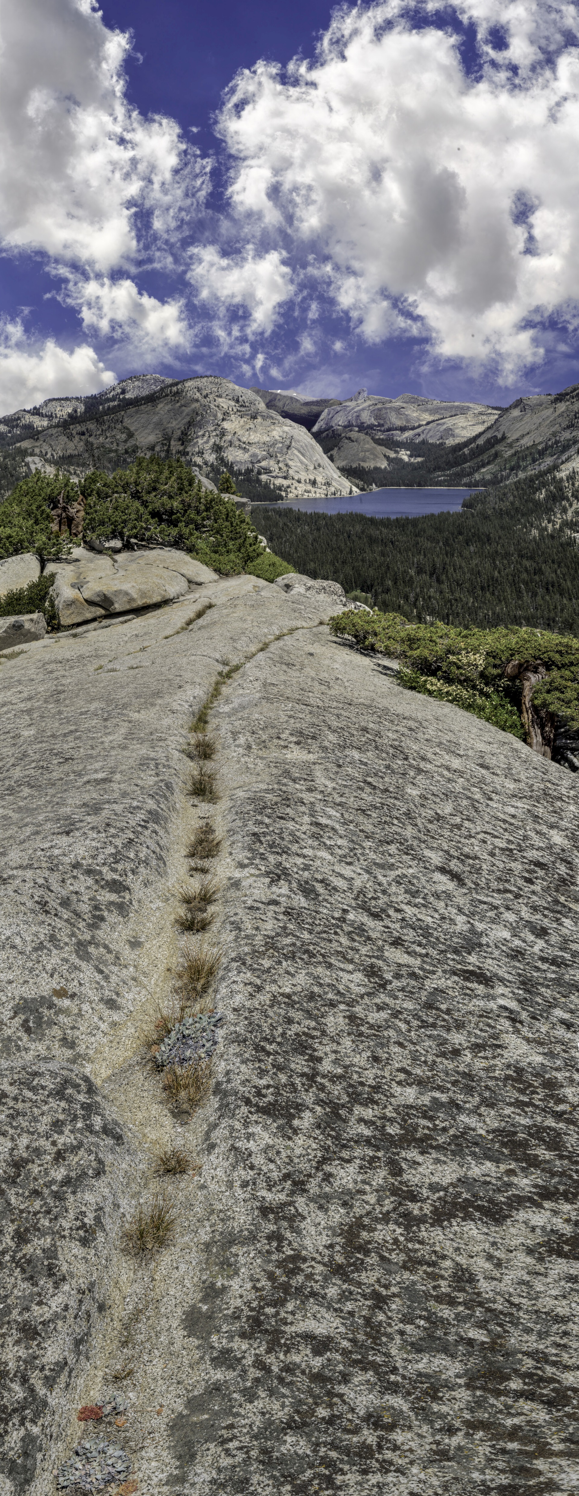 Olmstead Dome to Tenaya Lake - Yosemite National Park
