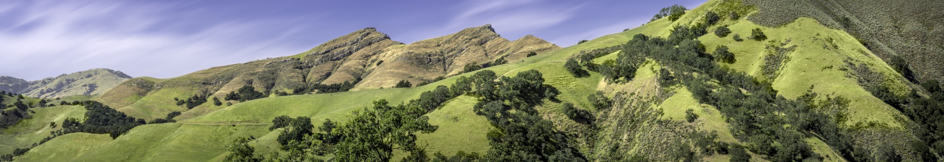 McGuire Peaks Turning Gold - Sunol Regional Wilderness - EBPRD
