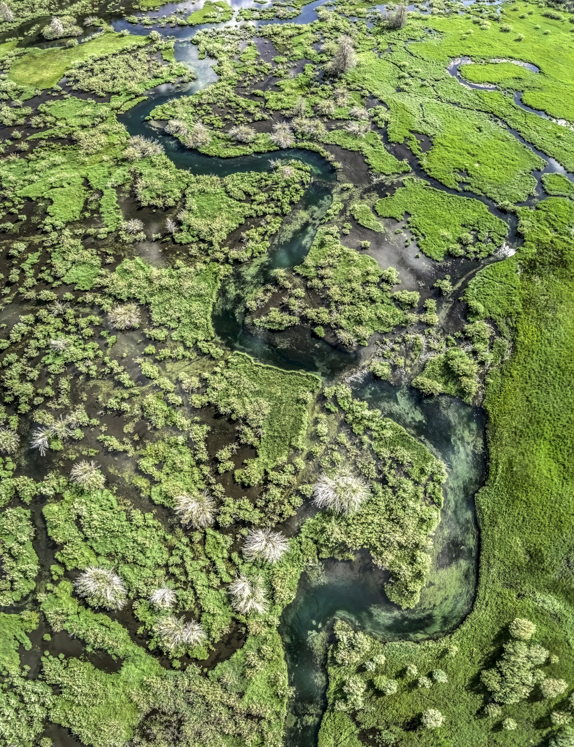 Green-Creek-Marsh-Verto-1907_3664-3668