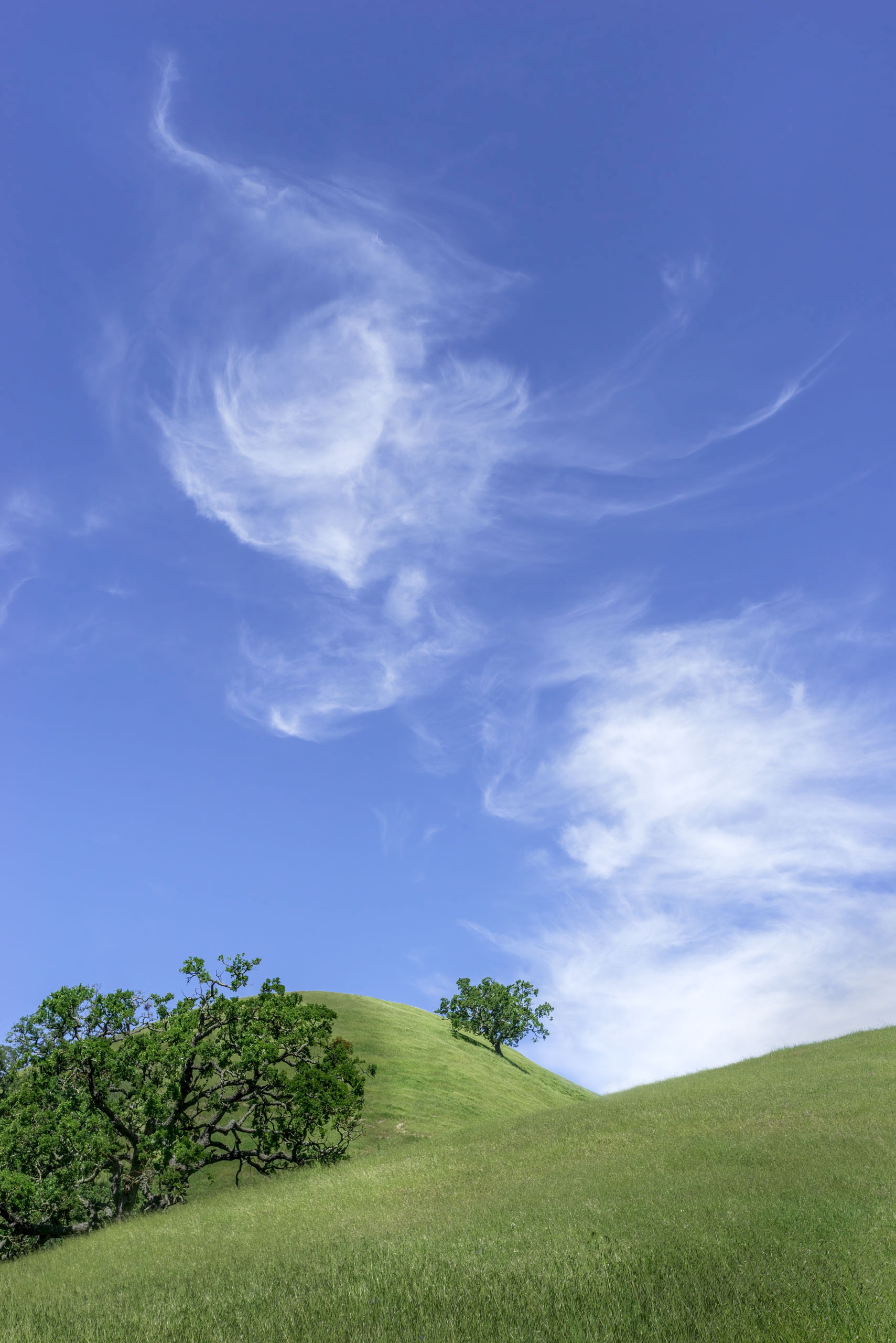 Cloud Dancer - Sunol Regional Wilderness - EBPRD
