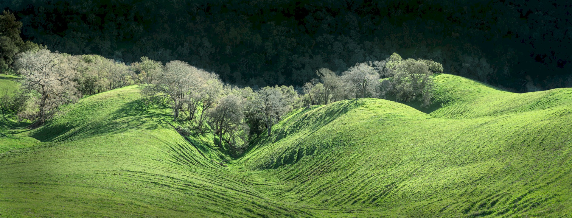 Anthropomorphic Hills - Sunol Regional Wilderness - EBPRD