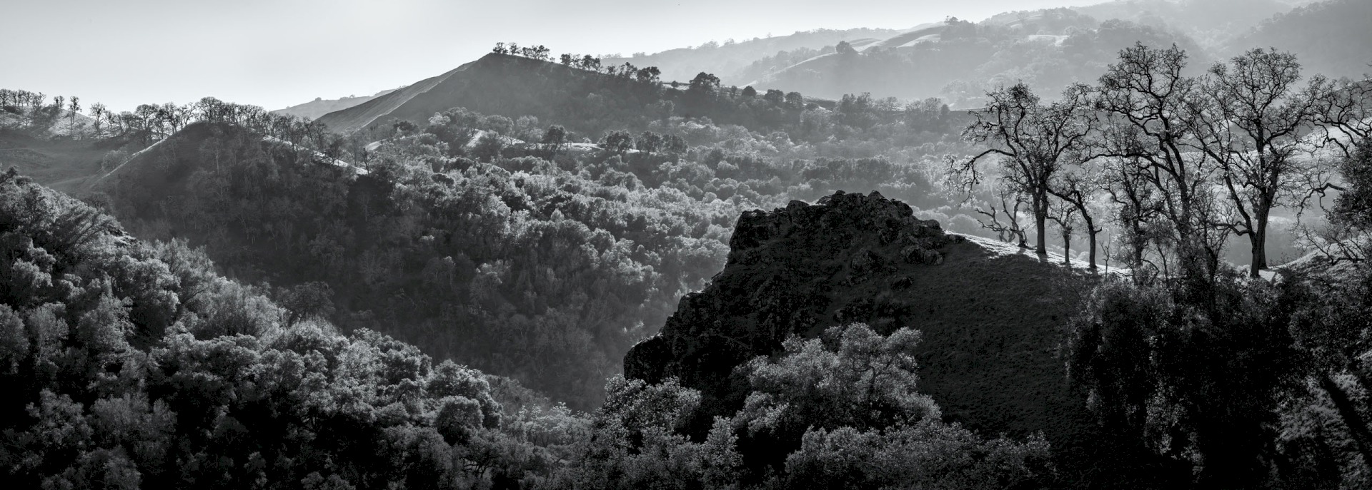 McCorkle from the Top - Sunol Regional Wilderness - EBPRD