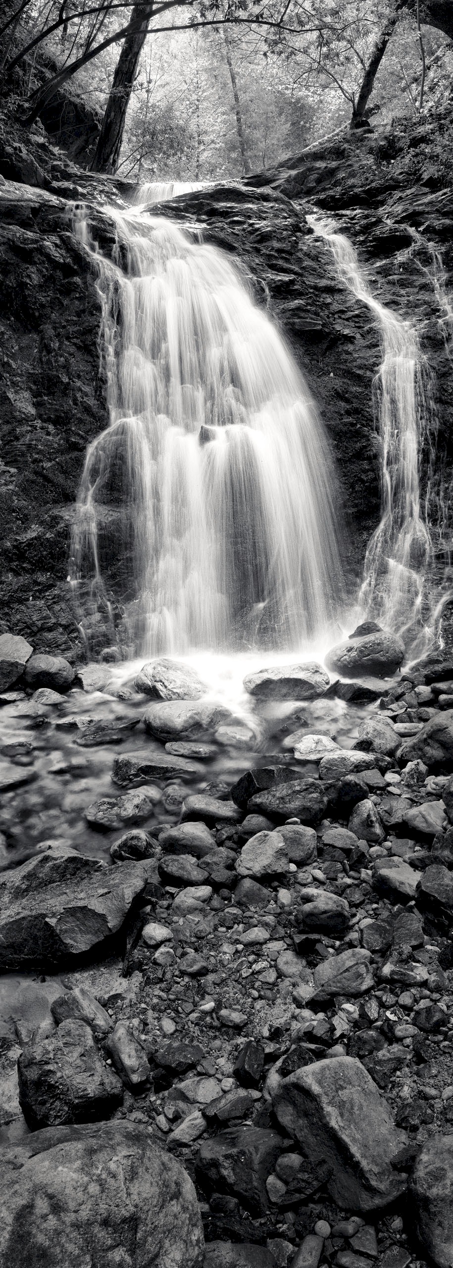 Uvas Canyon Falls - Uvas Canyon State Park