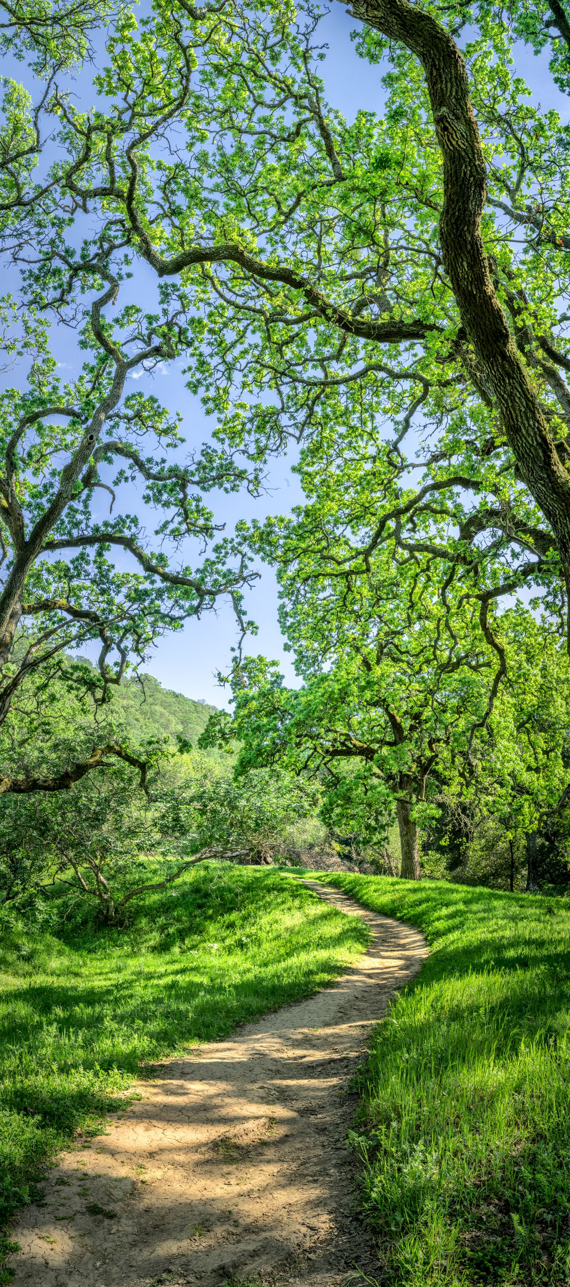 Alhambra Creek Trail - Briones Regional Park - EBPRD
