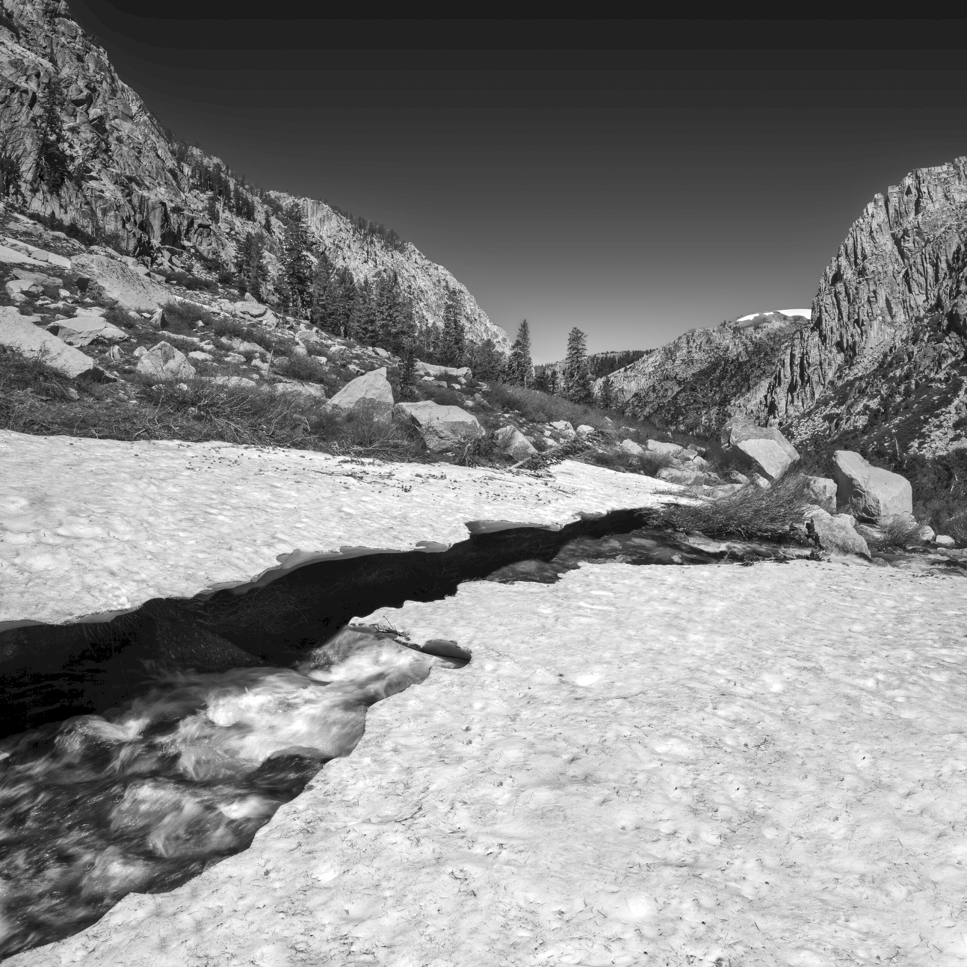 Snow Creek - Sonora Pass BLM