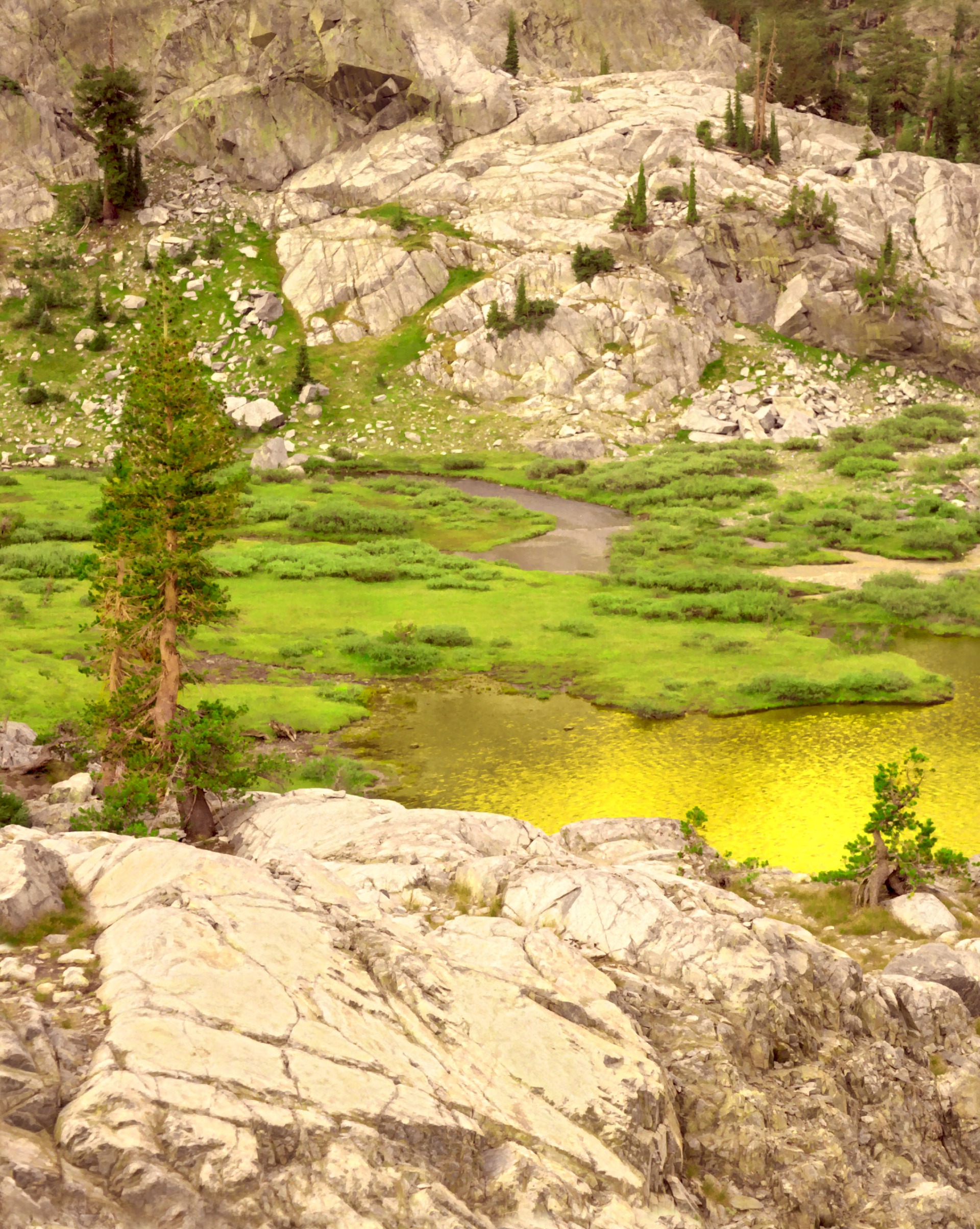 Twilight Meadow - Ansel Adams Wilderness