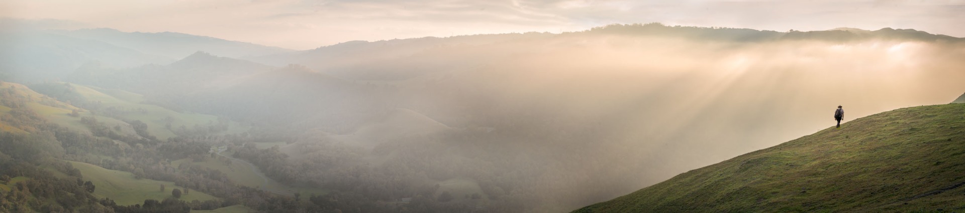 Flag Hill Sunburst - Sunol Regional Wilderness - EBPRD