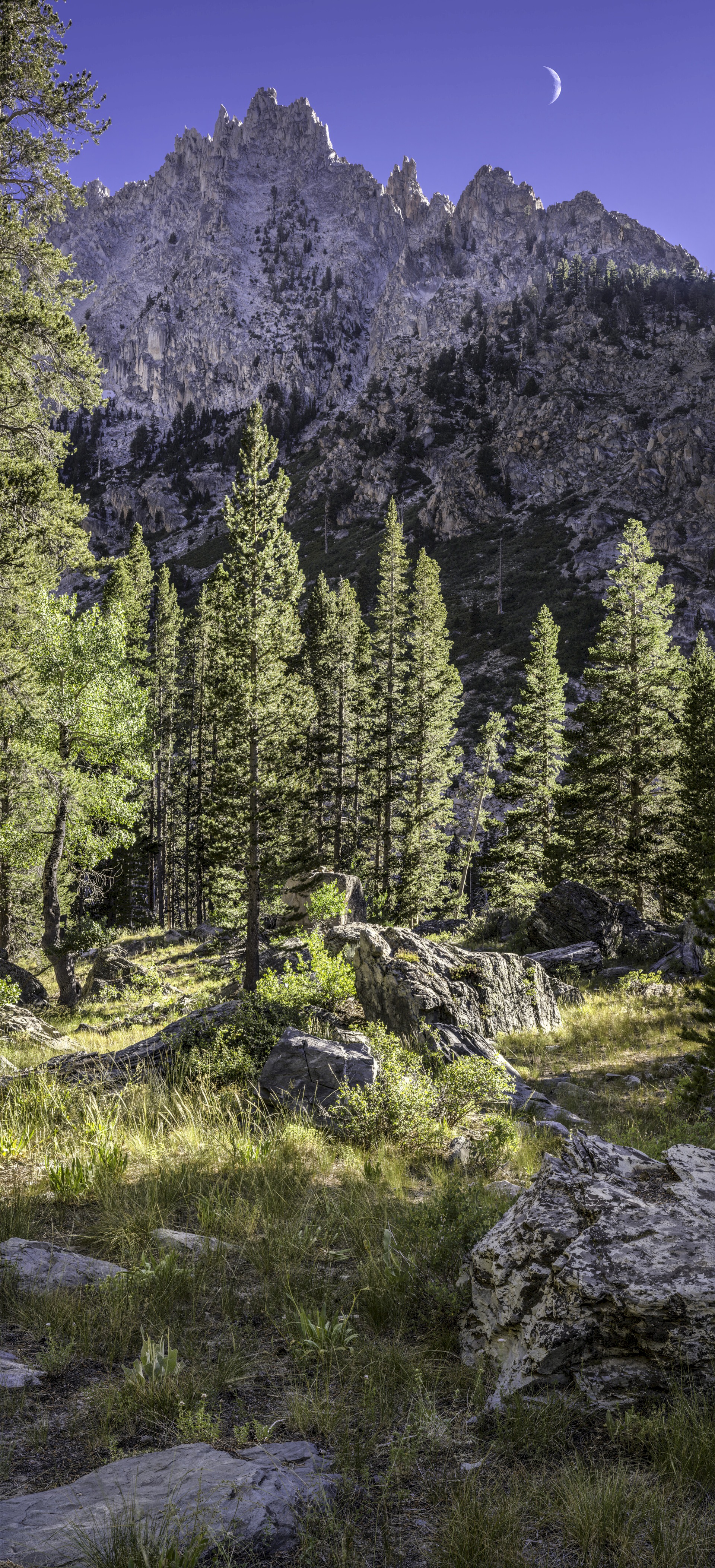 Sawtooth-Pines-1607_5142-5154