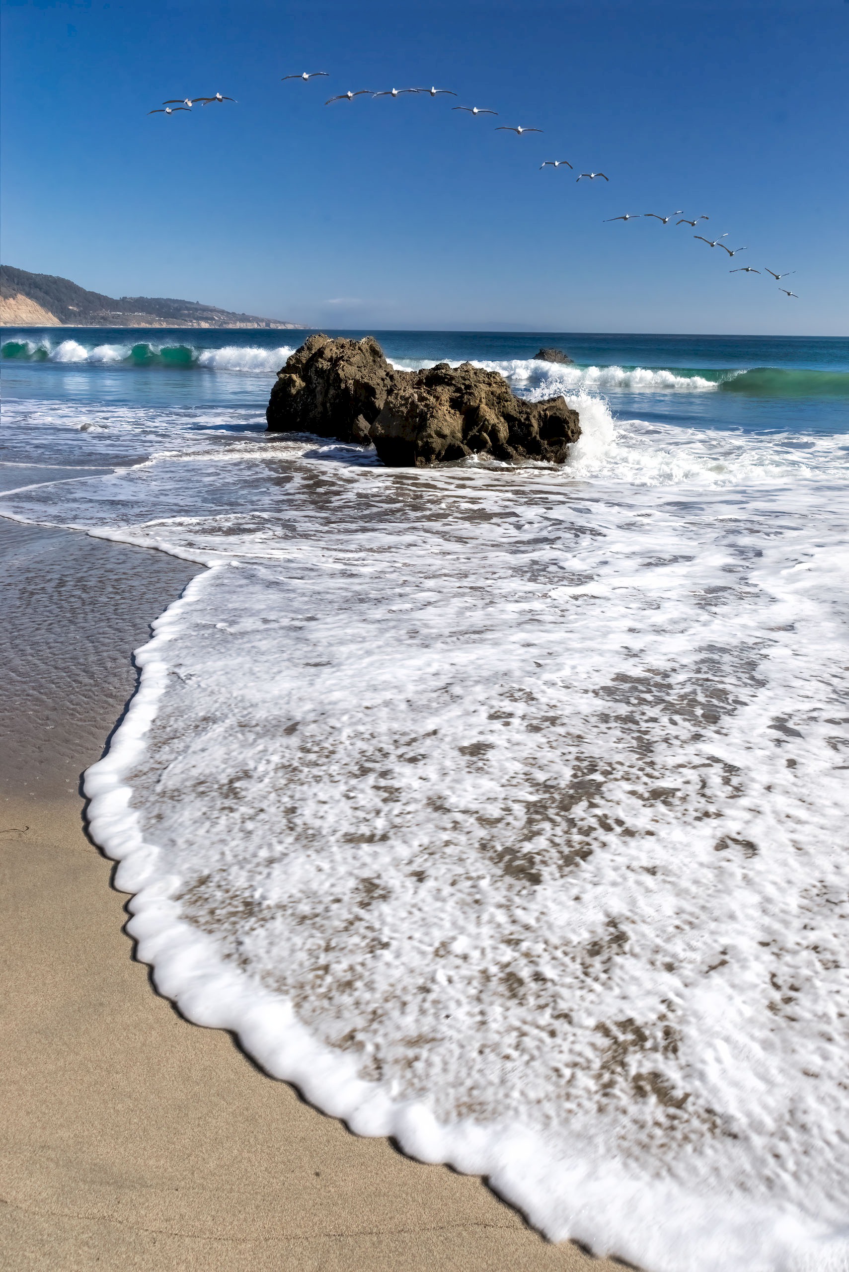 Ano-Nuevo-1509_8965-8975