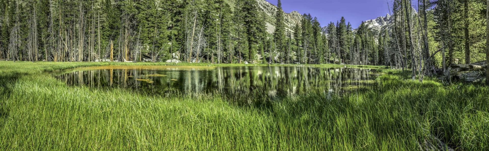 Mosquito Lake in the Sawtooths - Above Twin Lakes