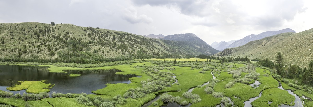 Green Creek Marsh Panorama - Green Creek Trailhead - Hoover Wilderness