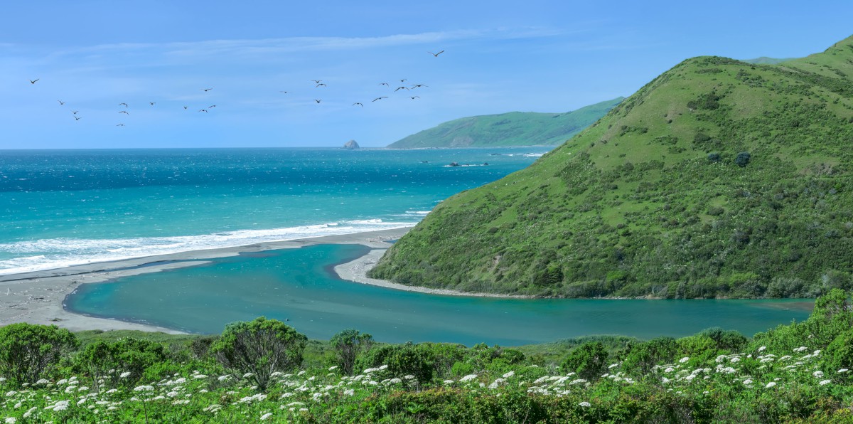 The Mighty Mattole River Outlet