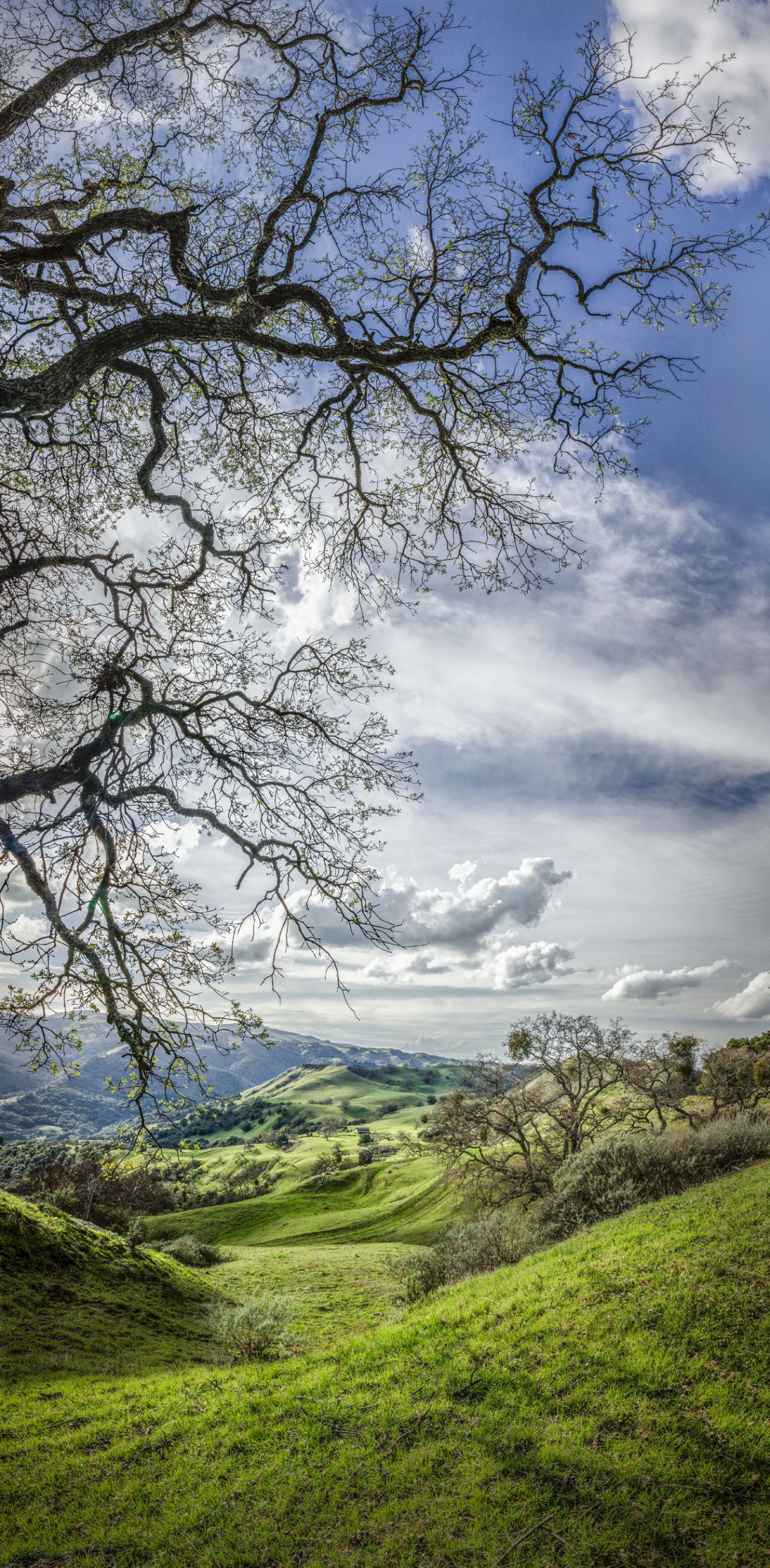 Flag Hill from Eagles View - Sunol Regional Wilderness - EBPRD