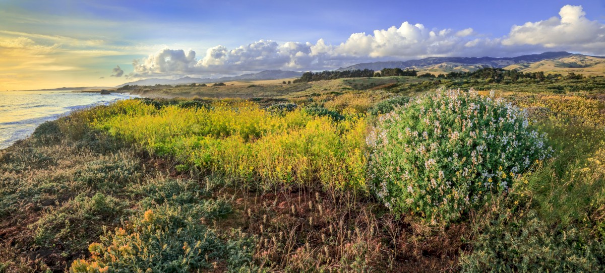 Central Coast Sunset...