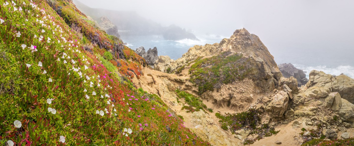 Big Sur Fog
