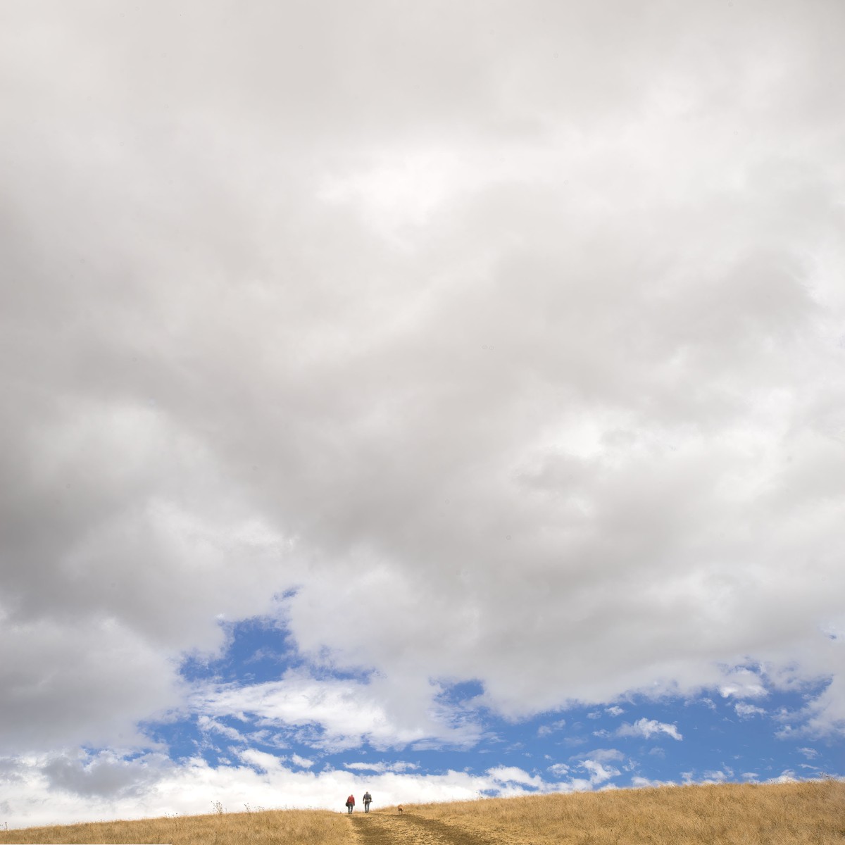 Friends - Dry Creek - Pioneer Regional Park
