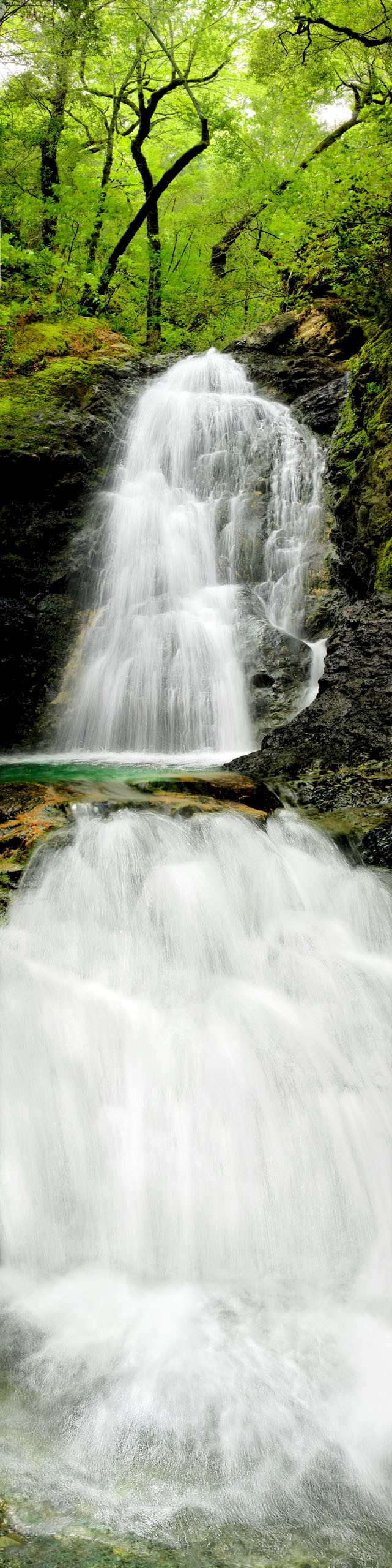 Basin Falls - Uvas Canyon State Park