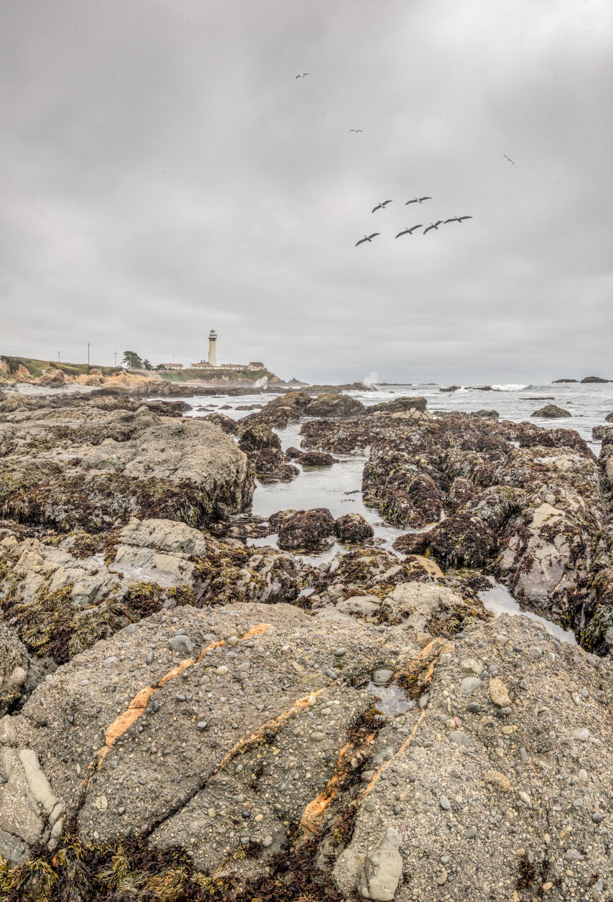 Pigeon Point Overcast - Pigeon Point Lighthouse