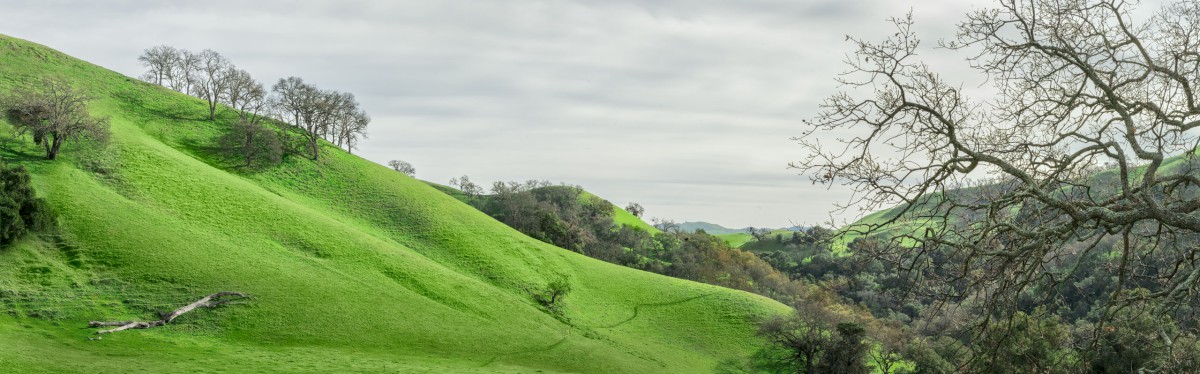 Coal Cyn Trail to McGuire - Sunol Regional Wilderness - EBPRD