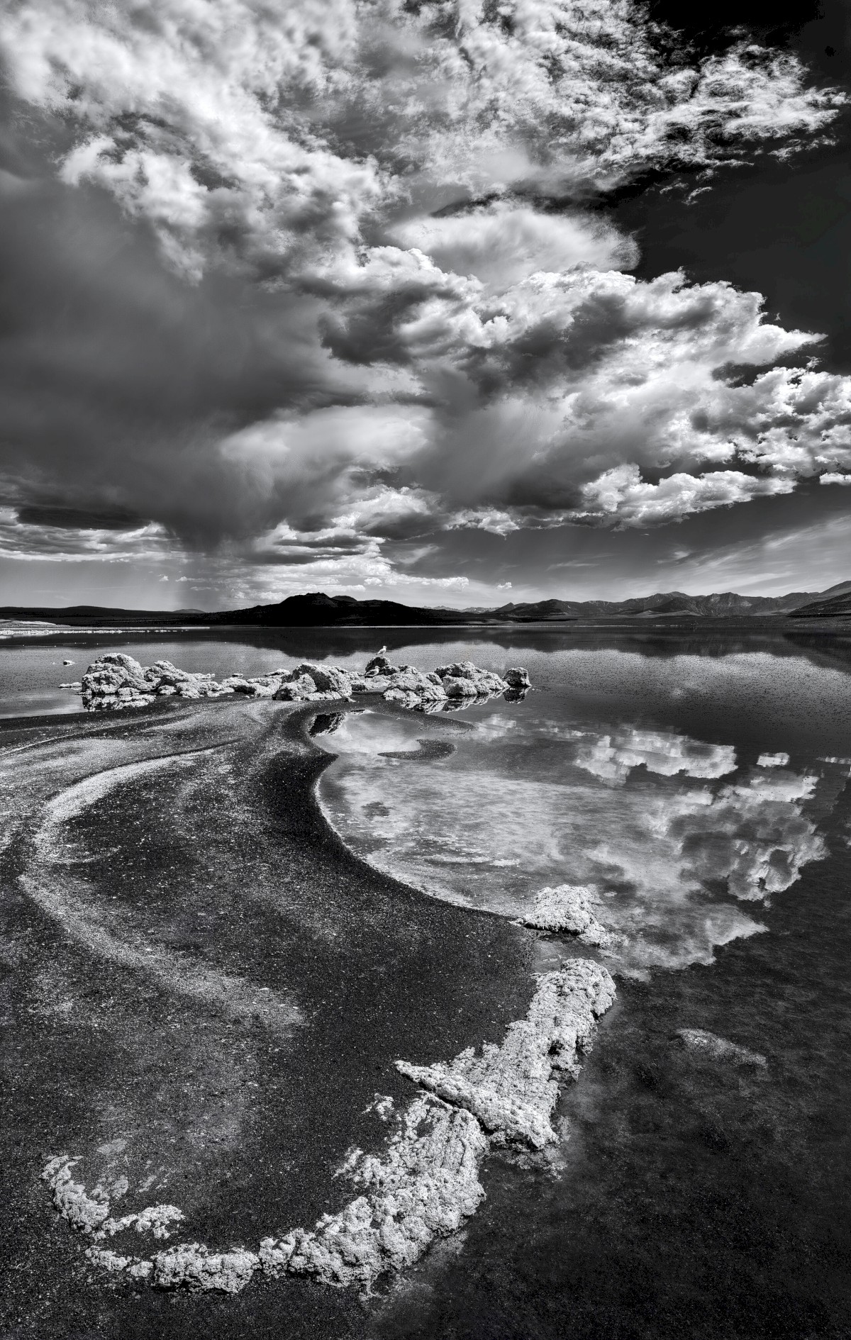 Black Point Twist - Black Point at Mono Lake BLM
