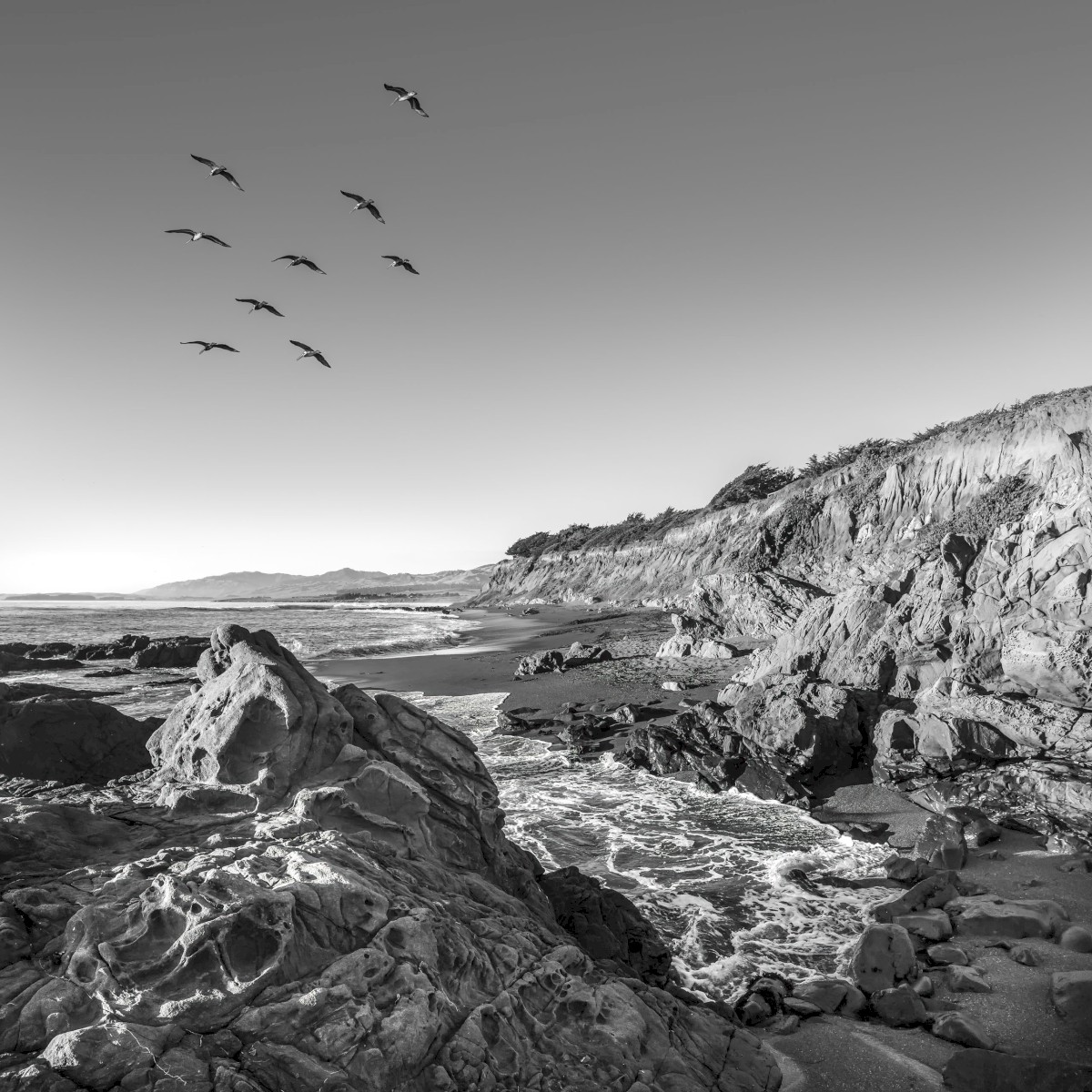 Leffingwell Birds - Leffingwell Landing State Park